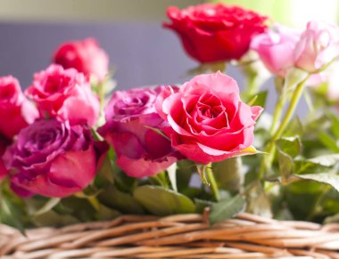 Hasır sepetin içinde güzel güller.
