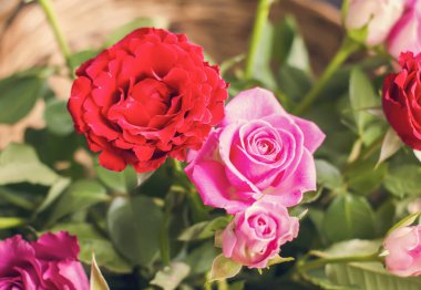 Hasır sepetin içinde güzel güller.