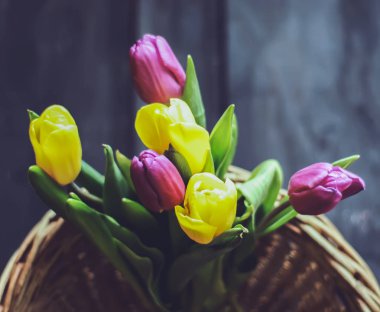 Spring floral background. Beautiful tulip flowers in a wicker basket.