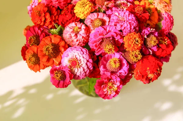 Hermosas Flores Zinnia Colores Brillantes Ramo Plantas Ornamentales Luz Del — Foto de Stock