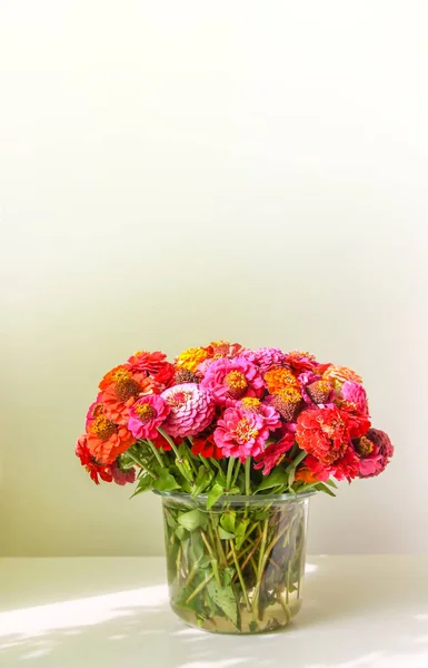 Mooie Heldere Kleurrijke Zinnia Bloemen Een Boeket Sierplanten — Stockfoto