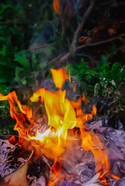 Brûlage du papier sur l'herbe verte d'été à l'extérieur. — Photo