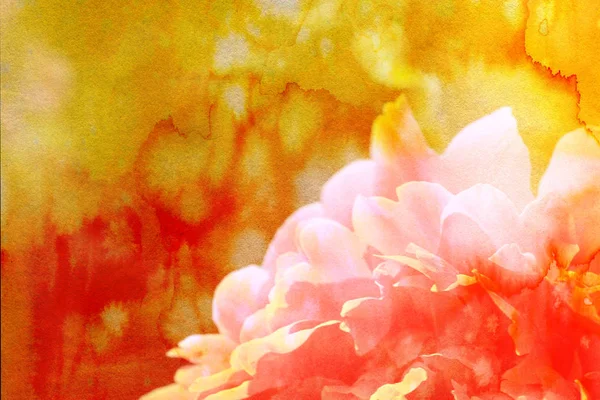 ヴィンテージフラワーペーパーの背景 牡丹の花が閉じます レトロスタイルの花カード 経年水彩紙の質感とハーブの要素 — ストック写真