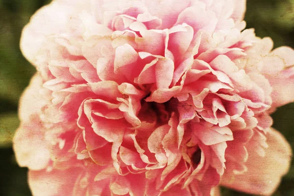 Vintage Virág Papír Háttér Gyöngyvirág Közeledik Retro Stílusú Virágkártya Elöregedett — Stock Fotó