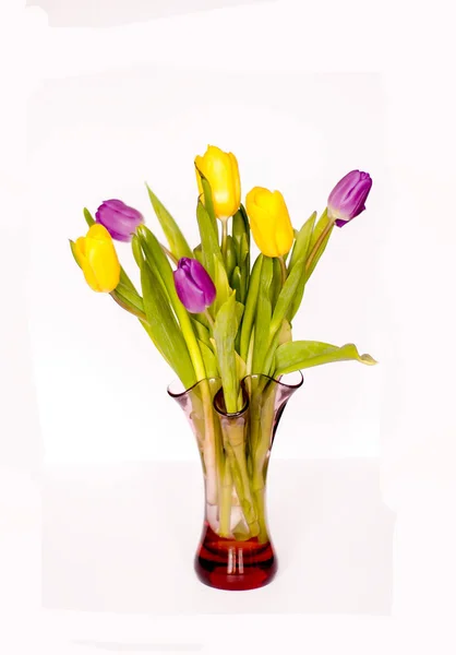 Tarjeta Floral Primavera Hermosas Flores Tulipán Amarillo Púrpura Jarrón Vidrio — Foto de Stock