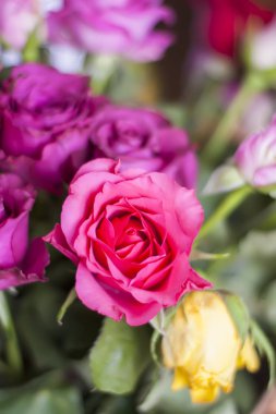 Güzel pembe ve kırmızı bir sepet içinde.