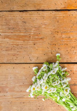 Beyaz bahçe, ahşap arka planda küçük papatya çiçekleri. Eski tahta dokusunda basit buket.