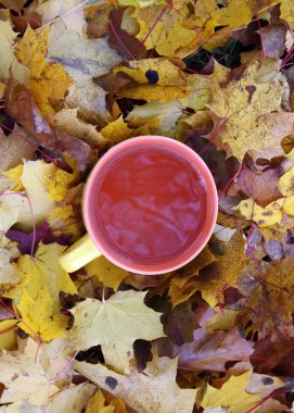 Renkli sonbahar yapraklarında bir fincan siyah çay.