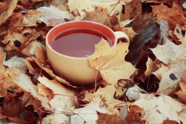 Renkli sonbahar yapraklarında bir fincan siyah çay.