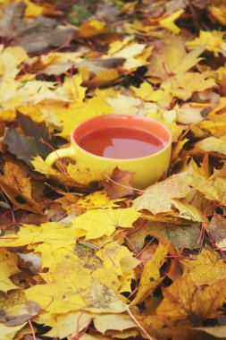 Çay ve sonbahar yaprakları