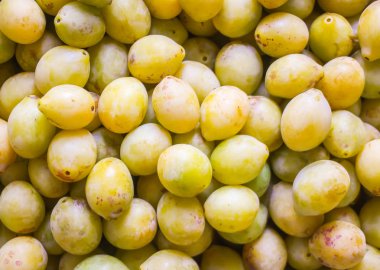 Olgun sulu sarı erik meyveleri kapanıyor. Kırsalda yetişen taze organik erikler..