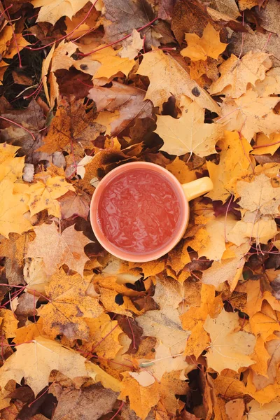 Eine Tasse Schwarzen Tee Auf Bunten Herbst Herbst Blätter Hintergrund — Stockfoto