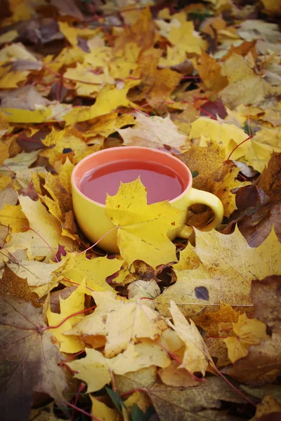 Tee und Herbstblätter — Stockfoto