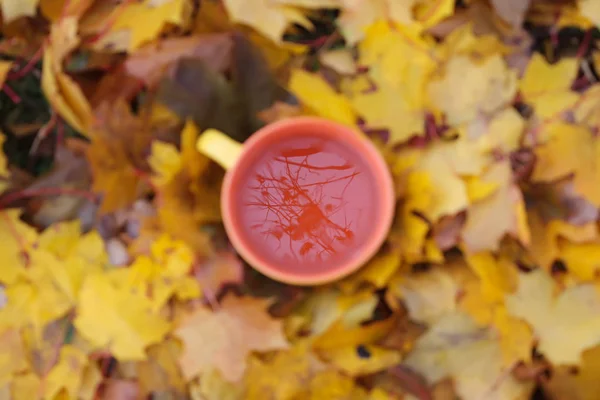 Tee und Herbstblätter — Stockfoto