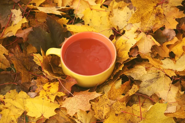 Herbata i jesiennych liści — Zdjęcie stockowe