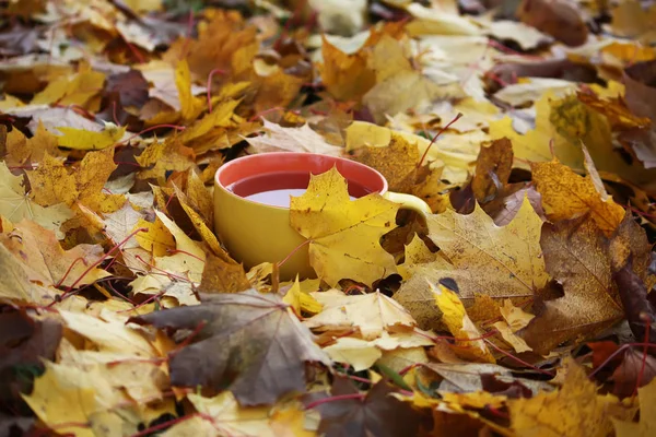 Tee und Herbstblätter — Stockfoto