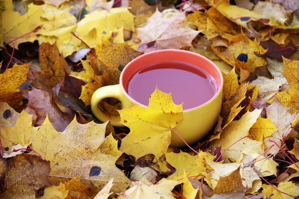 Tee und Herbstblätter — Stockfoto