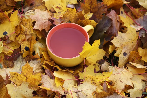 Herbata i jesiennych liści — Zdjęcie stockowe
