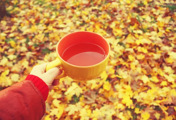 Tea and autumn leaves