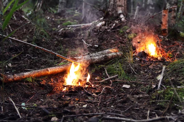 Пожар Лесу Яркое Пламя Фоне Природы — стоковое фото