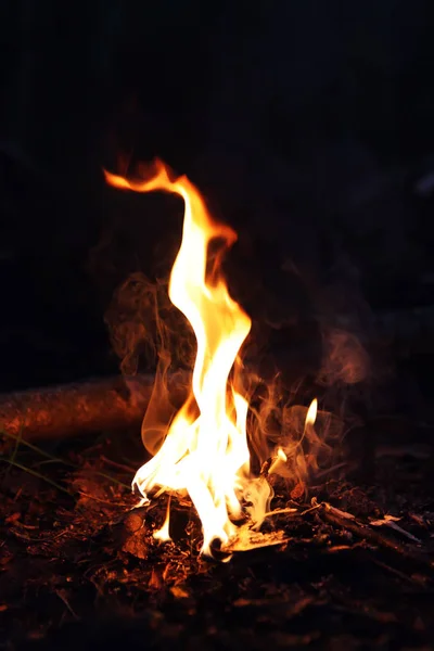Пожар Лесу Яркое Пламя Ночью — стоковое фото