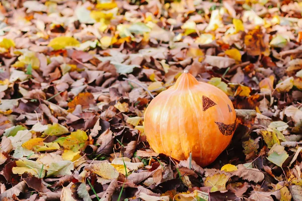 Legrační Halloween Dýně Podzimním Parku Podzimním Listím — Stock fotografie