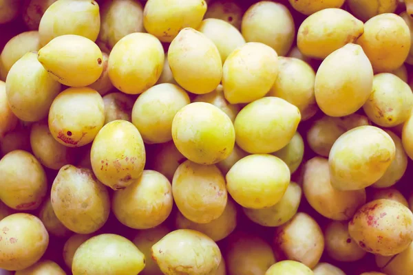 Ripe juicy yellow plum fruits close up. Fresh organic plums growing in countryside.