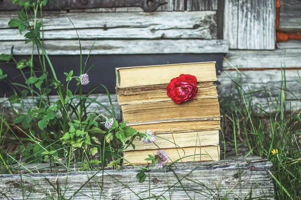 Ročenka s hromadou starých knih a růžových květin venku — Stock fotografie