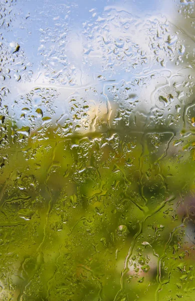 Sommerblumen Hinter Dem Nassen Glas Mit Regentropfen — Stockfoto
