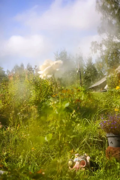 Fleurs Été Derrière Verre Mouillé Avec Des Gouttes Pluie — Photo