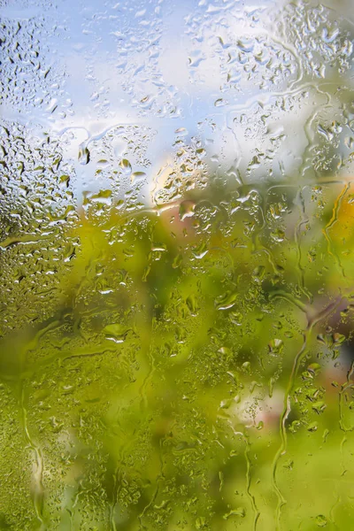 雨滴と湿ったガラスの後ろの夏の花 — ストック写真