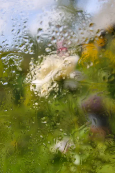 Sommerblumen Hinter Dem Nassen Glas Mit Regentropfen — Stockfoto