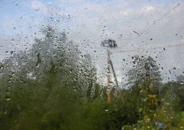 秋雨雨滴中 鸟巢和绿树在潮湿的玻璃后面 乡郊雨天 — 图库照片