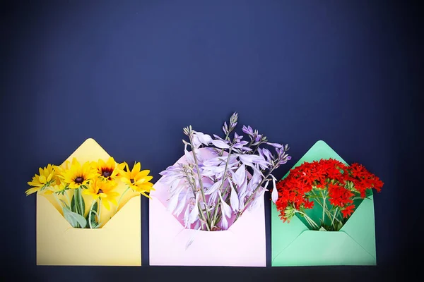 Envelopes Papel Coloridos Com Flores Jardim Fundo Escuro Campanula Lychnis — Fotografia de Stock