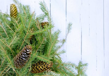 Noel kompozisyonu köknar ağacı dalları ve beyaz yaşlı ahşap arka planda koniler. Yeni Yıl Şablonu.
