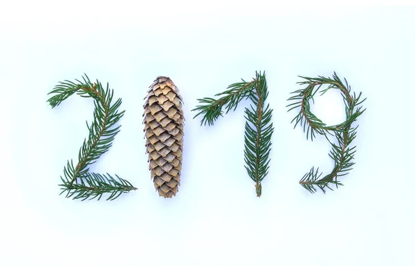 Números 2019 hechos de ramas de cono y abeto. Feliz Año Nuevo elementos de diseño de temporada para tarjetas de felicitación festivas, póster, pancarta, web, invitaciones . — Foto de Stock