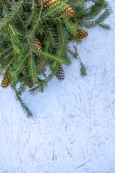 Julsammansättning med gran grenar, guld färg koner på vitåldrade trä bakgrund. Nytt år festlig design mall. — Stockfoto