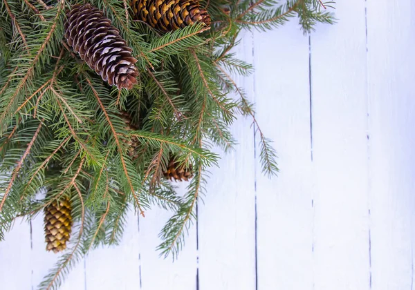 Noel Kompozisyonu Köknar Ağacı Dallarıyla Süslenmiş Beyaz Yaşlı Ahşap Arka — Stok fotoğraf