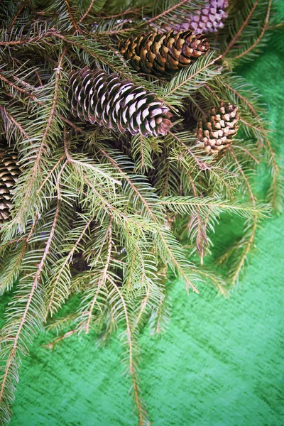 圣诞构图 用冷杉树枝和金黄色油漆装饰在绿色羊毛针织格子布背景上的圆锥 新年佳节设计样板 — 图库照片