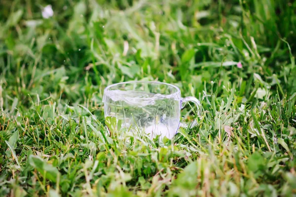 Salpicadura Agua Dulce Fría Con Cubitos Hielo Copa Vidrio Transparente —  Fotos de Stock