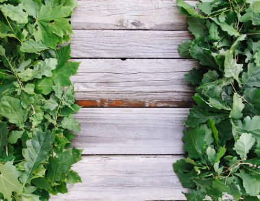 Yeşil yapraklı eski grunge ahşap dokusu. Sert doğal doku.
