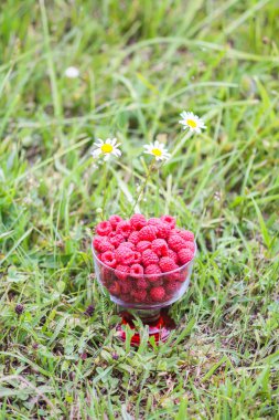 Taze olgun tatlı yaz meyveleri