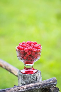 Olgun tatlı yaz meyveleri. Eski kaba ahşap çitin üzerinde şeffaf vazoda ahududu. Bitki dallarında taze ahududu..