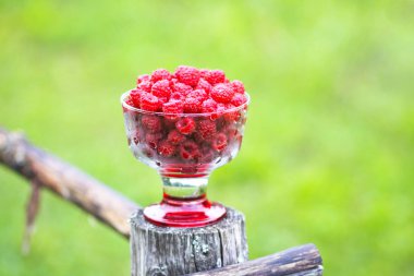 Olgun tatlı yaz meyveleri. Eski kaba ahşap çitin üzerinde şeffaf vazoda ahududu. Bitki dallarında taze ahududu..