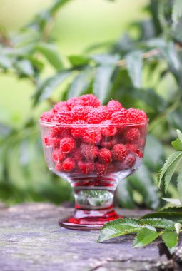 Olgun tatlı yaz meyveleri. Ağaç kütüğünün üzerinde şeffaf vazoda ahududu.