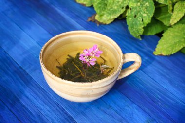 Mor taze çiçekli doğal bitki çayı ve tıbbi yakut yaprakları açık havada mavi tahta üzerinde seramik bardak..