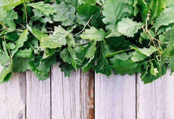 Yeşil yapraklı eski grunge ahşap dokusu. Sert doğal doku.