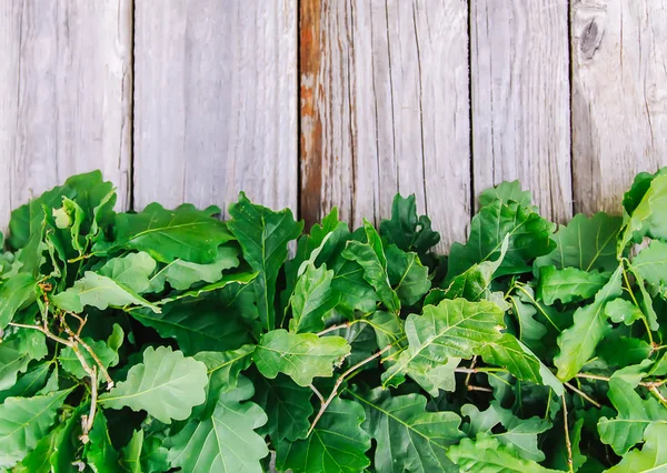 Old Grunge Wood Texture Green Leaves Rough Natural Texture — Stock Photo, Image