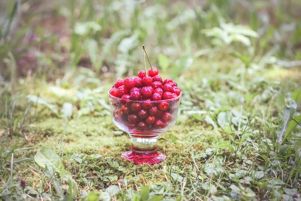 Yazın parkta yağmurdan sonra yeşil çimlerin üzerinde şeffaf bir vazoda taze, tatlı ıslak kirazlar..