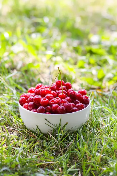 Yazın parkta yağan yağmurdan sonra yeşil çimlerin üzerinde taze, tatlı, ıslak kirazlar..
